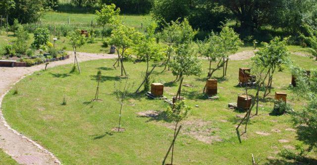 Landhotel Zum Honigdieb Ribnitz-Damgarten Exteriér fotografie